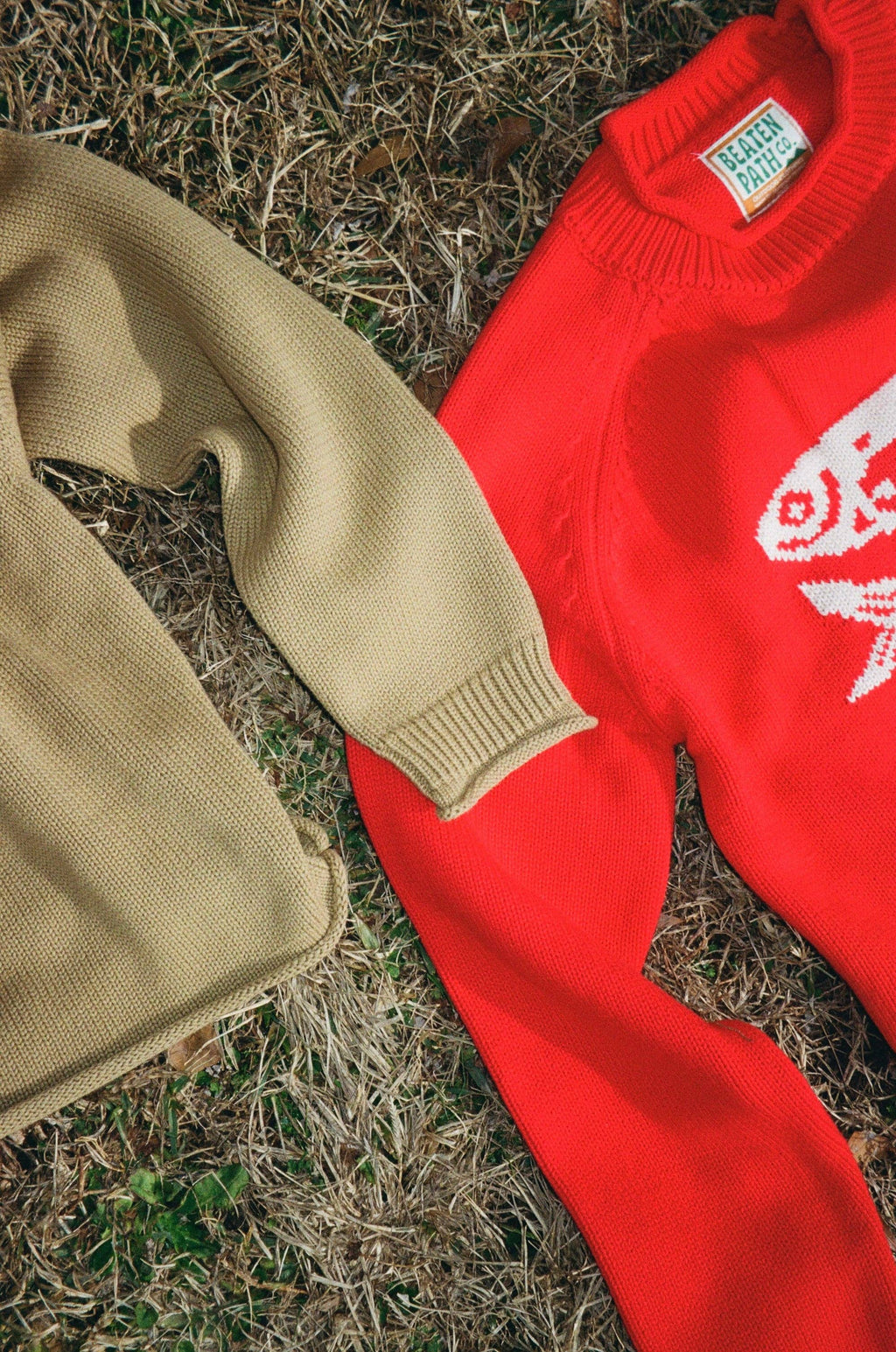 Green Cotton Fish Rollneck Sweater