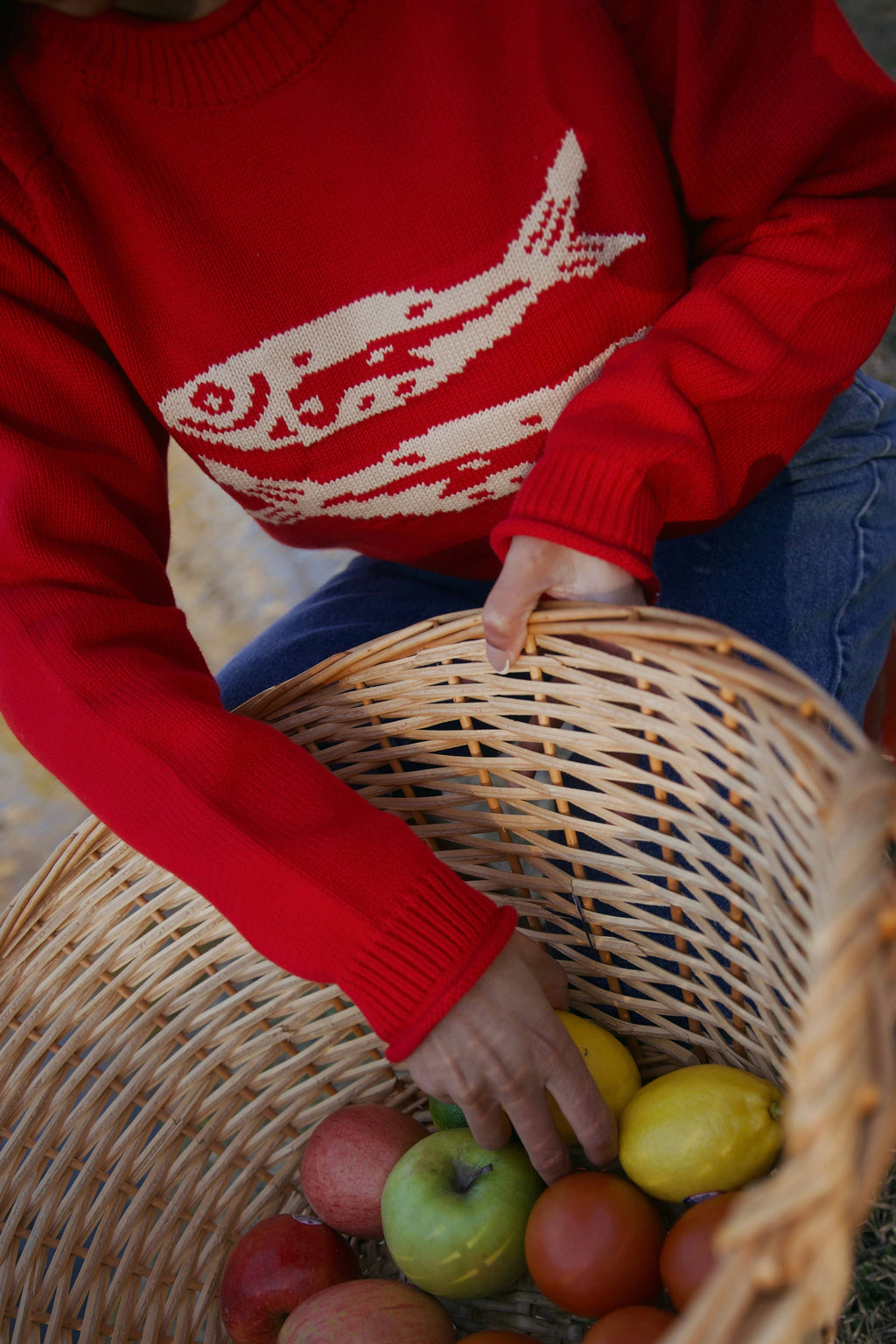 Red Cotton Fish Rollneck Sweater